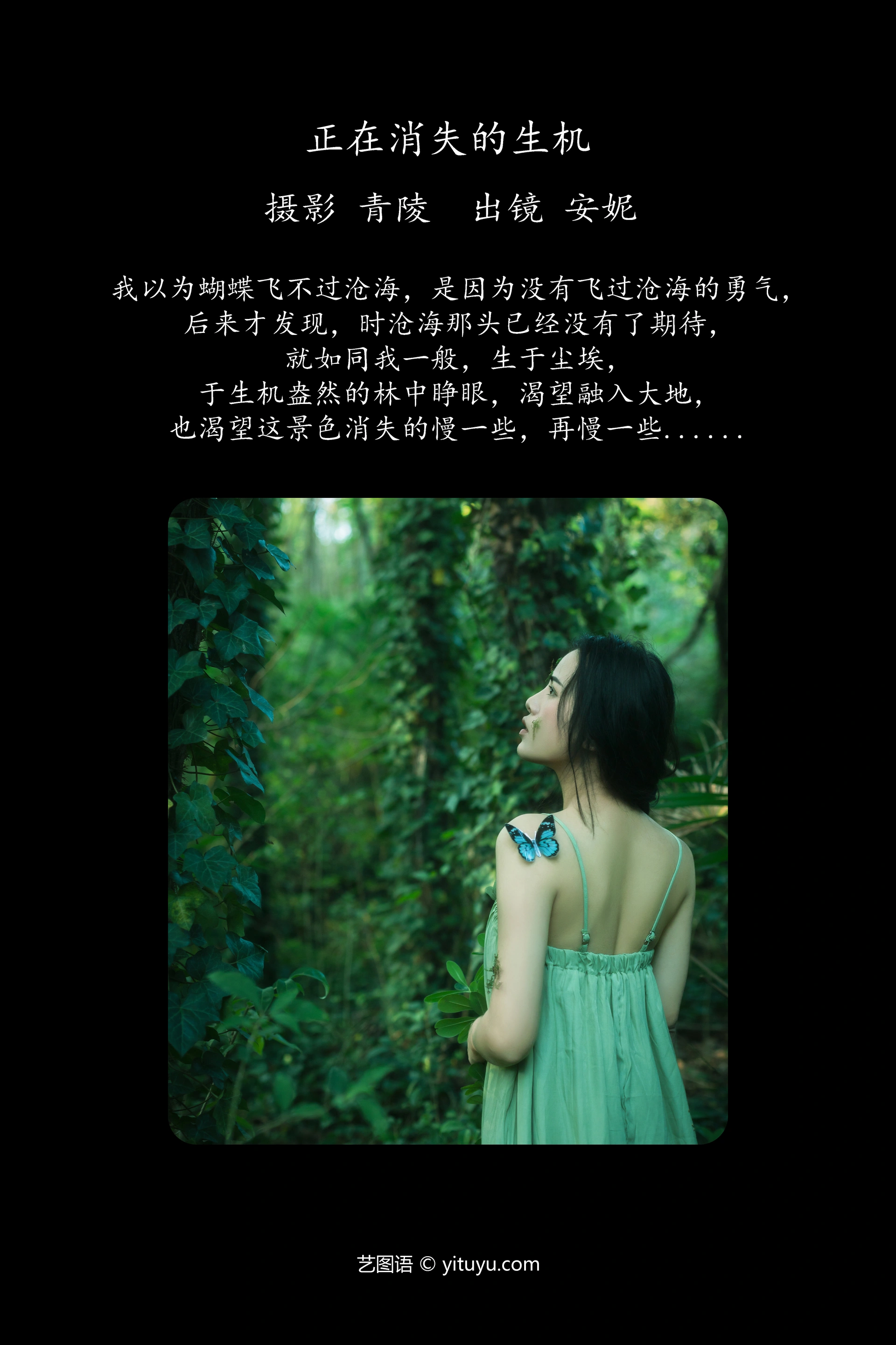 [YITUYU艺图语]2023.11.14 正在消失的生机 安妮 1