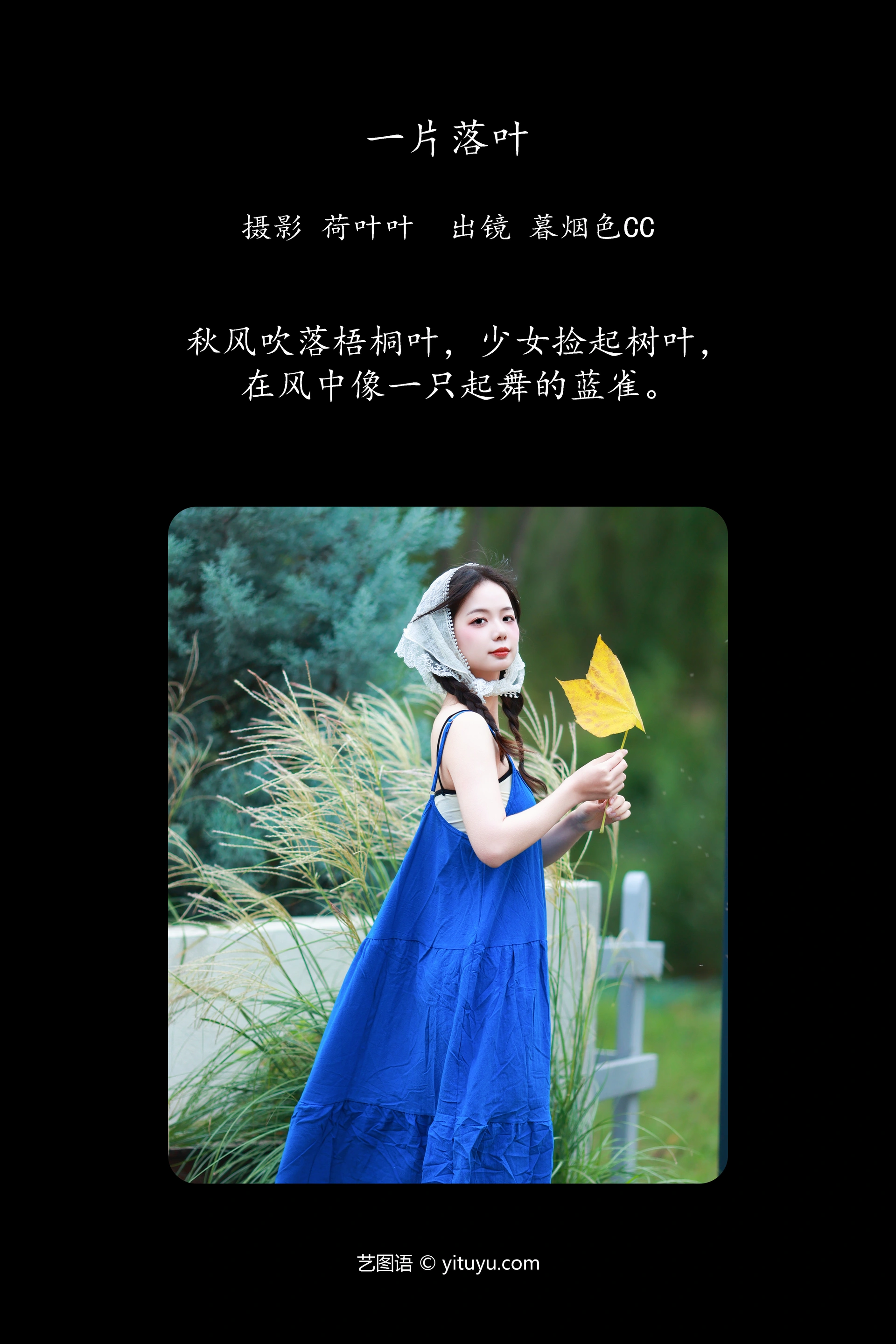 [YITUYU艺图语]2023.11.15 一片落叶 暮烟色CC 1